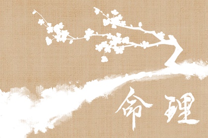 万年历表_日梭万年历_2026万年历日历